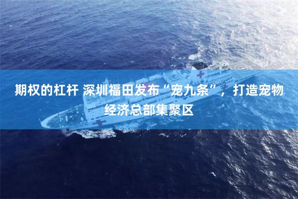 期权的杠杆 深圳福田发布“宠九条”，打造宠物经济总部集聚区