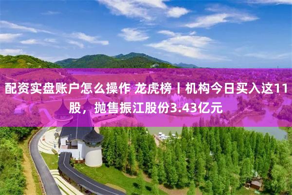 配资实盘账户怎么操作 龙虎榜丨机构今日买入这11股，抛售振江股份3.43亿元