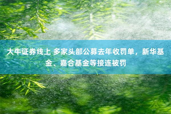 大牛证券线上 多家头部公募去年收罚单，新华基金、嘉合基金等接连被罚