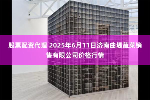 股票配资代理 2025年6月11日济南曲堤蔬菜销售有限公司价格行情