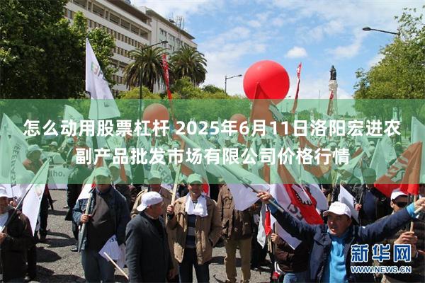 怎么动用股票杠杆 2025年6月11日洛阳宏进农副产品批发市场有限公司价格行情