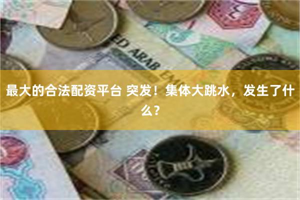最大的合法配资平台 突发！集体大跳水，发生了什么？