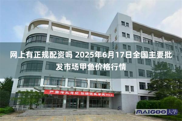 网上有正规配资吗 2025年6月17日全国主要批发市场甲鱼价格行情