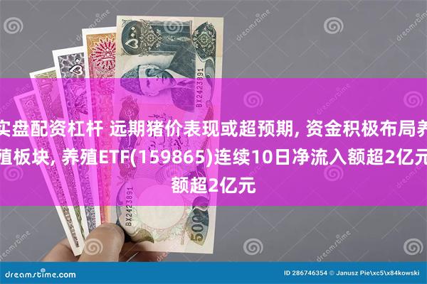 实盘配资杠杆 远期猪价表现或超预期, 资金积极布局养殖板块, 养殖ETF(159865)连续10日净流入额超2亿元