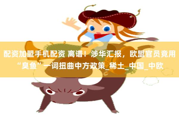 配资加盟手机配资 离谱！涉华汇报，欧盟官员竟用“臭鱼”一词扭曲中方政策_稀土_中国_中欧