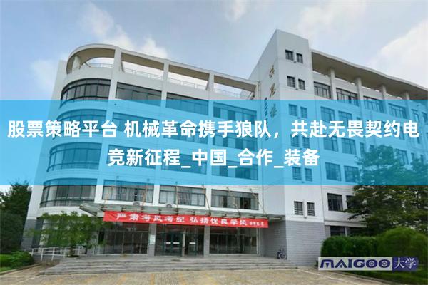 股票策略平台 机械革命携手狼队，共赴无畏契约电竞新征程_中国_合作_装备