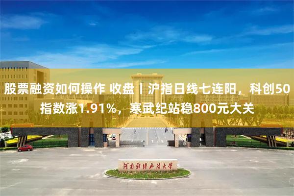 股票融资如何操作 收盘丨沪指日线七连阳，科创50指数涨1.91%，寒武纪站稳800元大关