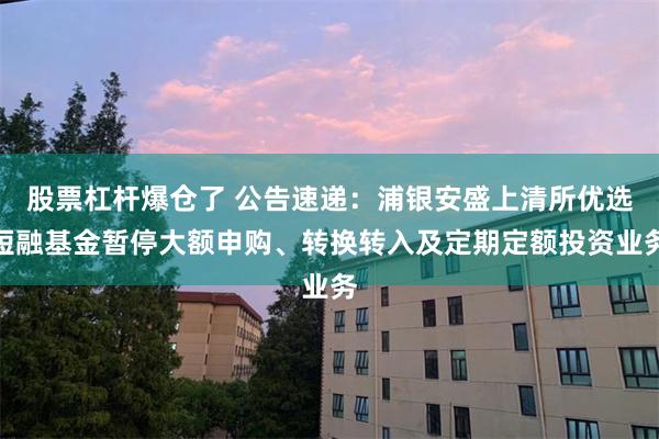 股票杠杆爆仓了 公告速递：浦银安盛上清所优选短融基金暂停大额申购、转换转入及定期定额投资业务