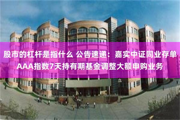 股市的杠杆是指什么 公告速递：嘉实中证同业存单AAA指数7天持有期基金调整大额申购业务