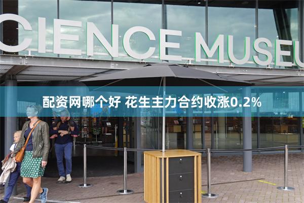 配资网哪个好 花生主力合约收涨0.2%