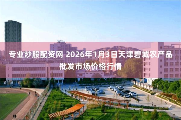 专业炒股配资网 2026年1月3日天津碧城农产品批发市场价格行情